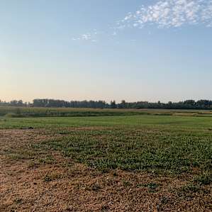 Cottonwood Pond on June Bud Farms