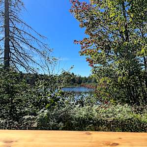 View of the lake on the land