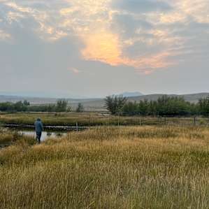 Hidden Meadow Ranch