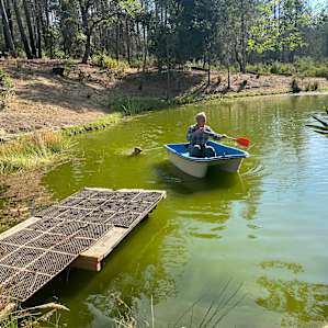The pond where my dog could swim