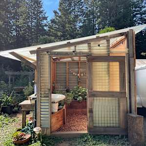 Cool, hip outdoor bathroom with plants surrounding the space