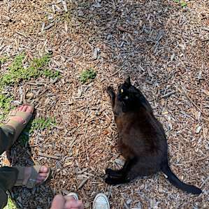 Don’t forget to meet our favorite HipCamp mascot, Thunder Kitty!
