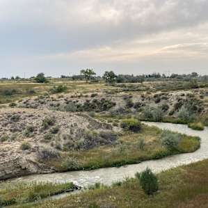 Rocky Acres Remote Area