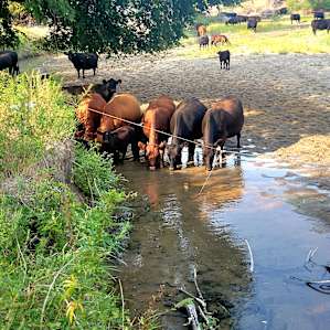 C2T Ranch on the Saline - Primitive