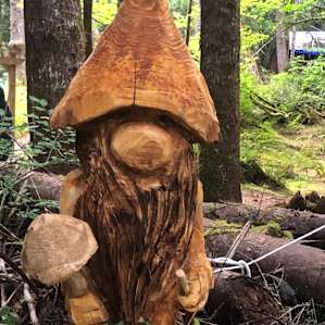 Olympic Rainforest retreat camp 4b