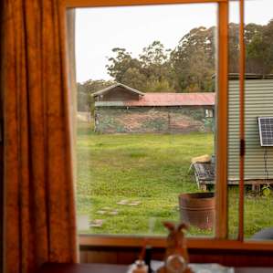 Cabin in middle of National Park