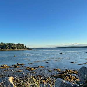 Four Acre Woods Campground - Maine