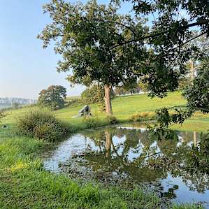 View from the pond spot
