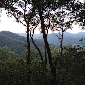 GLENVILLE HIGH TREEHOUSE (4000')
