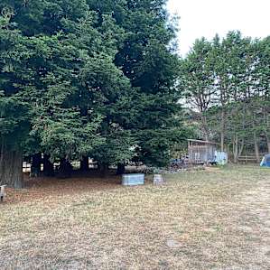 Rustic Farm camping - BYO Tent