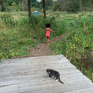 Path by the creek