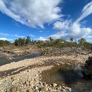 River Camping Yarramundi