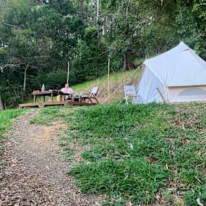 Tent in The Forest ~ Kin Kin QLD