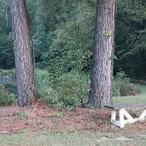 Smith Creek Camping