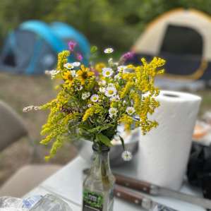 Field of Stars Campsites