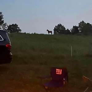 Field of Stars Campsites