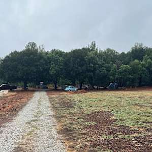 Felton Open Space Camp Sites