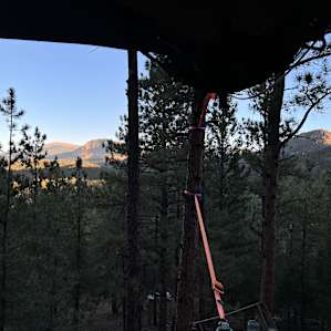 Tree Tent!