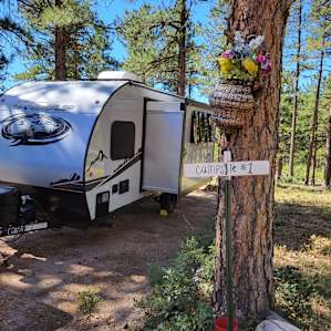 51 Forested Acres w/ Horses