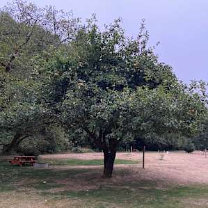 Powder Creek Campground