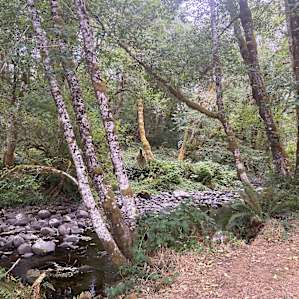 Powder Creek Campground