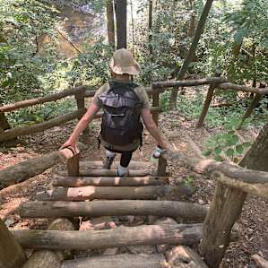 Stairway at Brasstown Falls