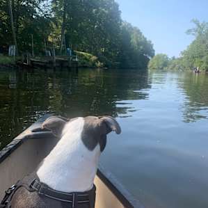 Canoein' Sue's on the Chester River
