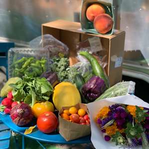 Produce haul from Farmrunners in Hotchkiss