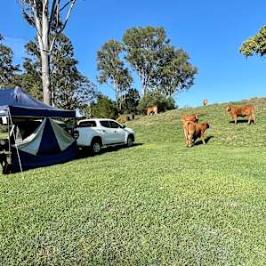 The Wedding or Group Spot