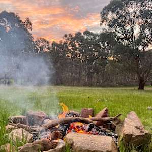 Bush Camping