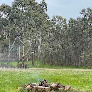 Bush Camping