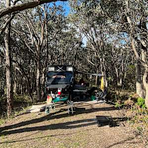 Wren Camping