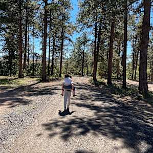 51 Forested Acres w/ Horses