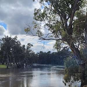 Beverley Farm on the Wakool River