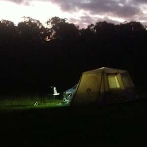 Bush Camping