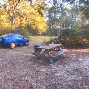 Site 4