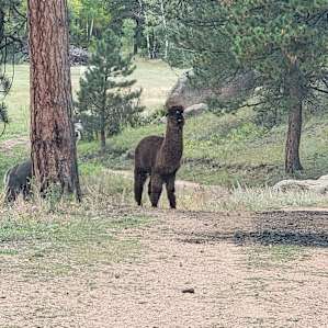 Rustic Creek Ranch #3 - Old Corral