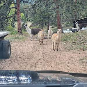 Rustic Creek Ranch #3 - Old Corral