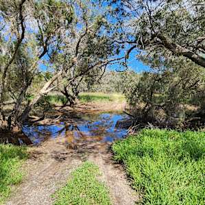 The Creek crossing to the river access was closed to vehicles while we were here.