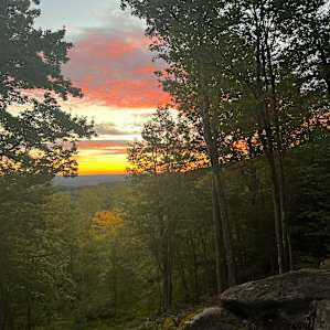 Hussey Mtn. Tree Farm (Ledgewood)