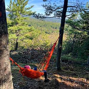 Hussey Mtn. Tree Farm (Ledgewood)