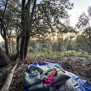Created a nest in the trees to read and listen to some music