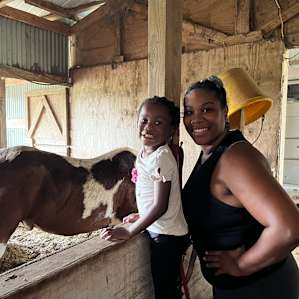 Happy Horse Cabin