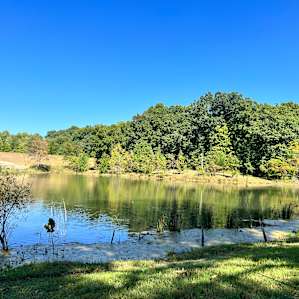 Lake View Tent camping