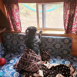 Minglewood Tiny Home and camping