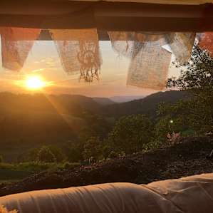 Magic Mists of Montville-Kondalilla