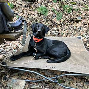 Theo enjoying Camp Blackbird while dad cooks.