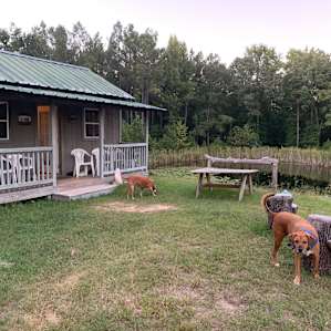 Rosewood Rendezvous Tiny Cabin