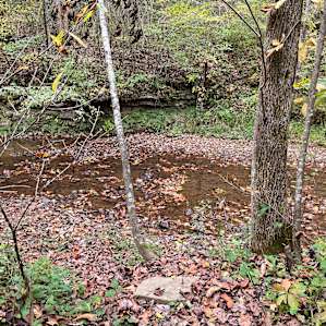 Creekside Cottage