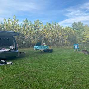 Grins & Pickin's CampFarm - tents